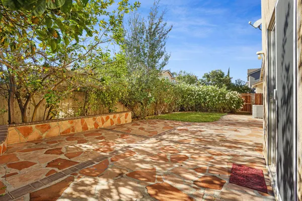a view of a yard