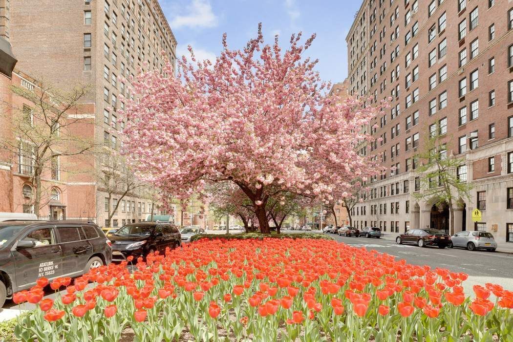 40 East 94th Street, Unit 18B Manhattan, NY 10128 - Photo 8 of 9