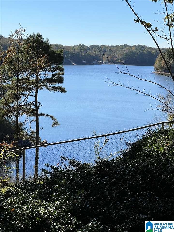 1843 County Road 129 Wedowee, AL 36278 - Photo 36 of 48
