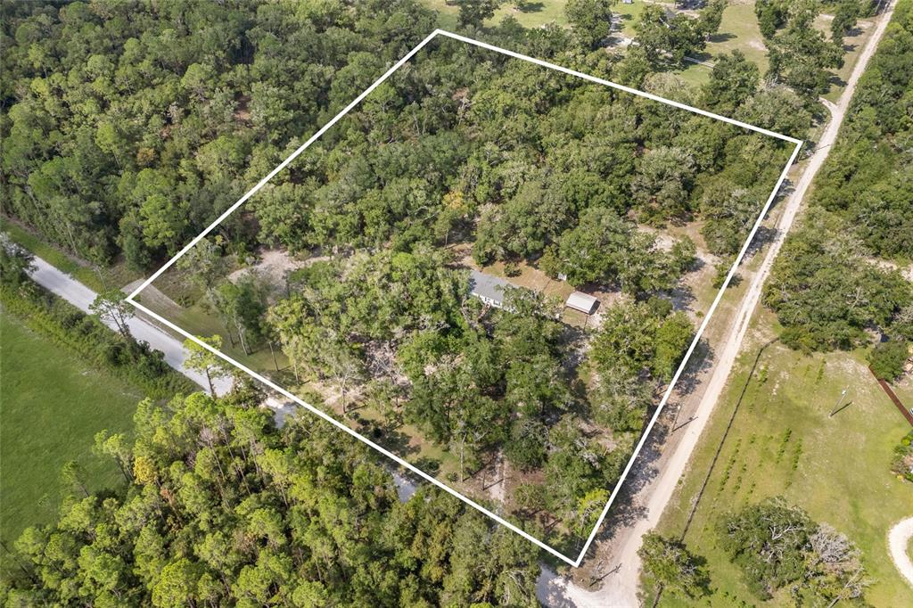 3639 Northeast 80th Avenue High Springs, FL 32643 - Photo 1 of 35 a view of a yard