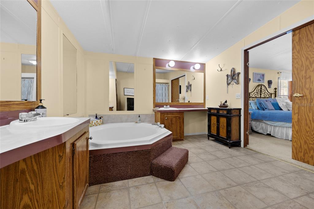 3639 Northeast 80th Avenue High Springs, FL 32643 - Photo 17 of 35 a large bathroom with a sink vanity and mirror