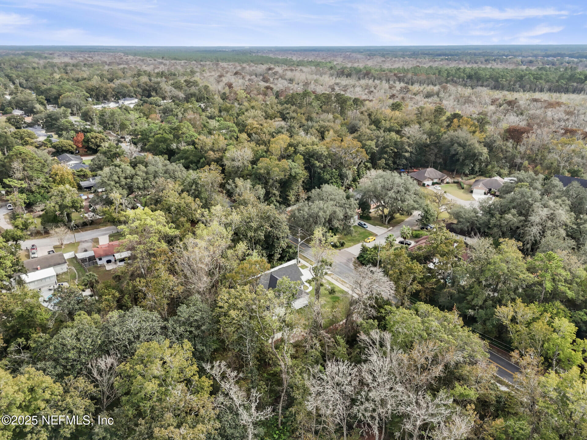 4435 Julington Creek Road Jacksonville, FL 32258 - Photo 61 of 64 a view of a field with a tree in the background