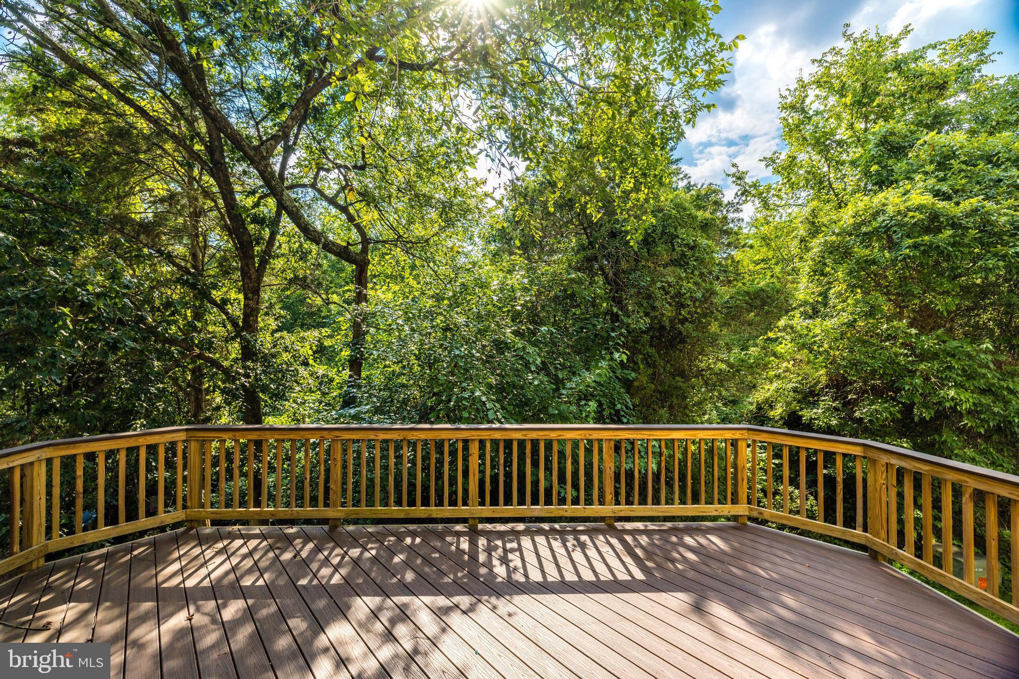 26105 Nimbleton Square Chantilly, VA 20152 - Photo 44 of 55