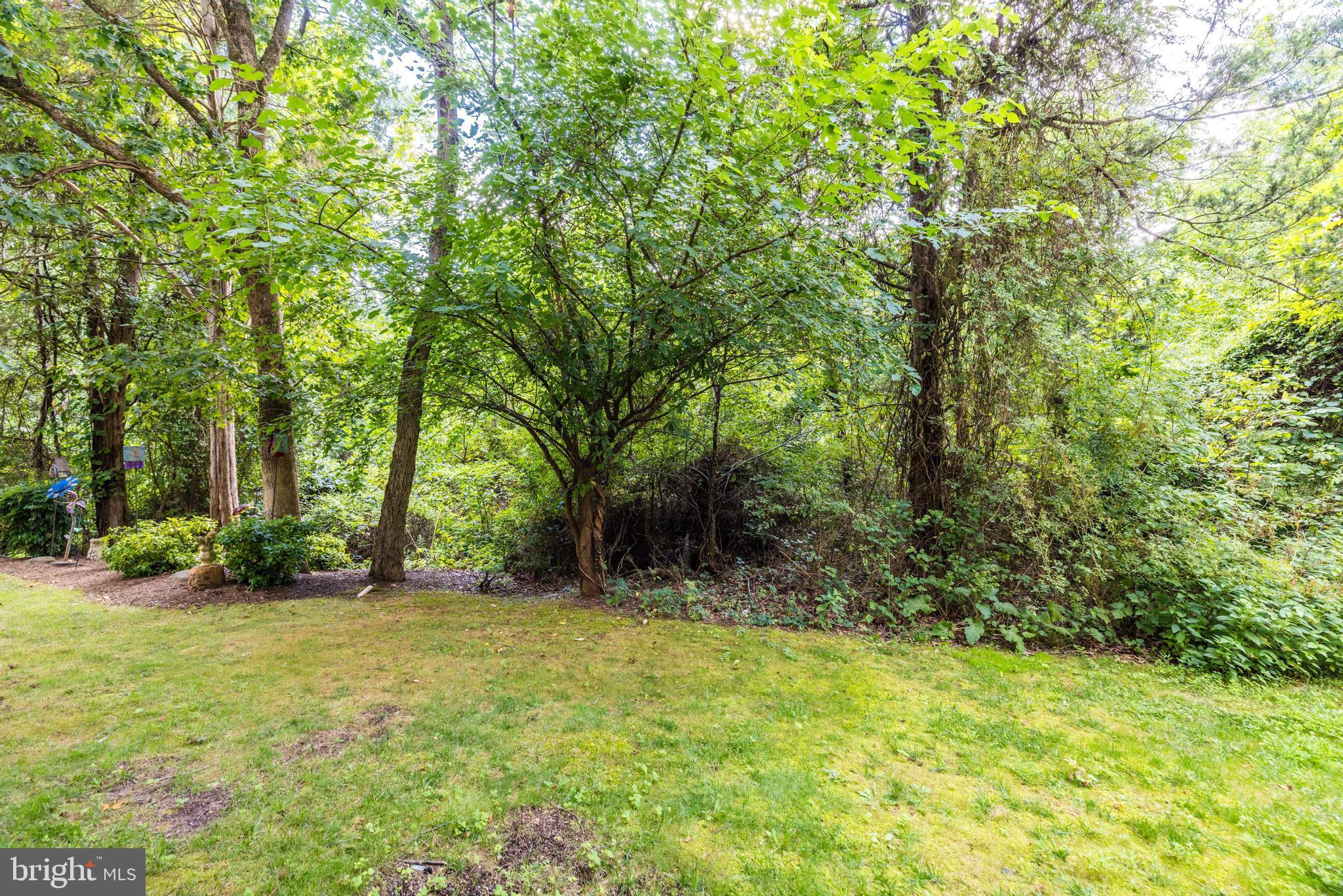 26105 Nimbleton Square Chantilly, VA 20152 - Photo 48 of 55