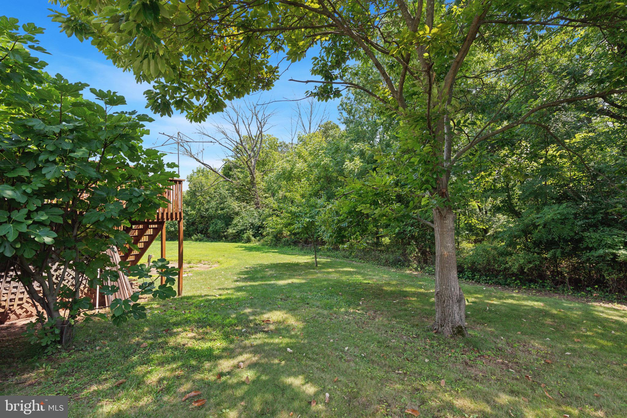 38 Cherry Tree Court Spring City, PA 19475 - Photo 33 of 35 a big yard with lots of green space and trees
