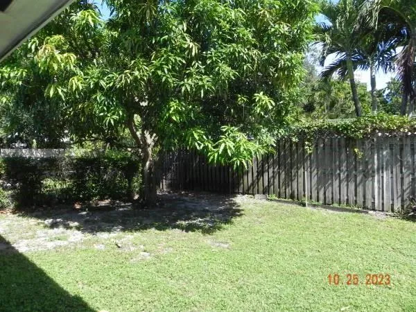 a house with lots of trees