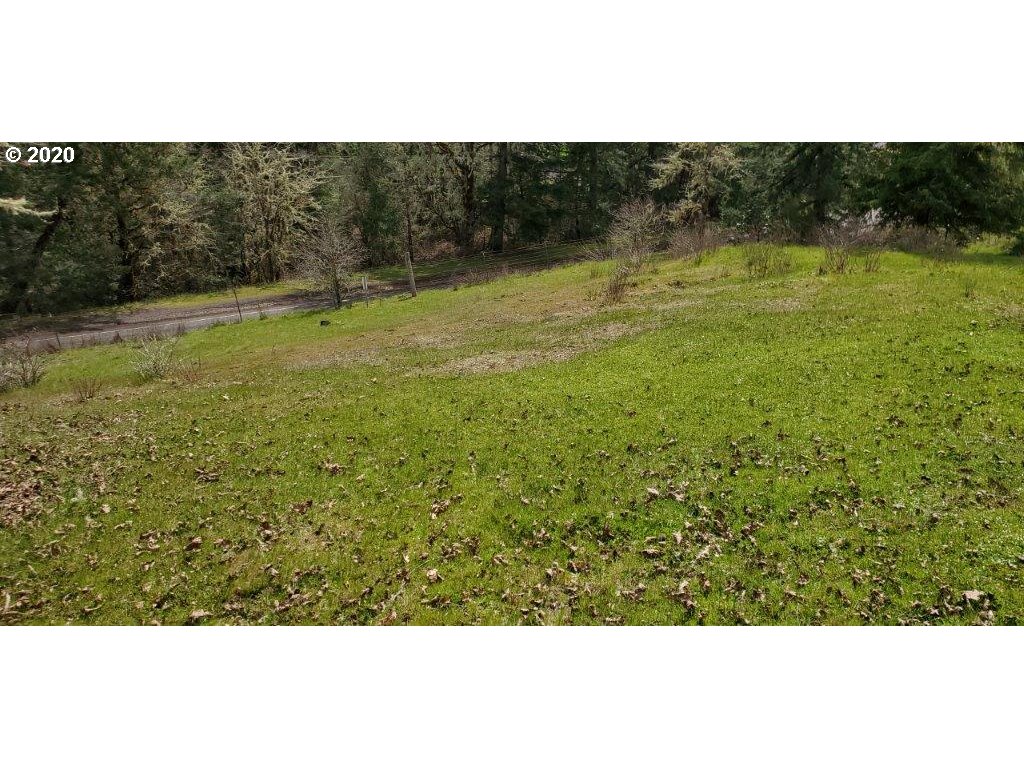 1632 Hogan Road Oakland, OR 97462 - Photo 11 of 14