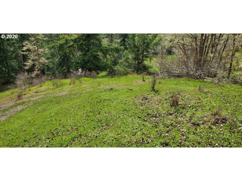 1632 Hogan Road Oakland, OR 97462 - Photo 12 of 14
