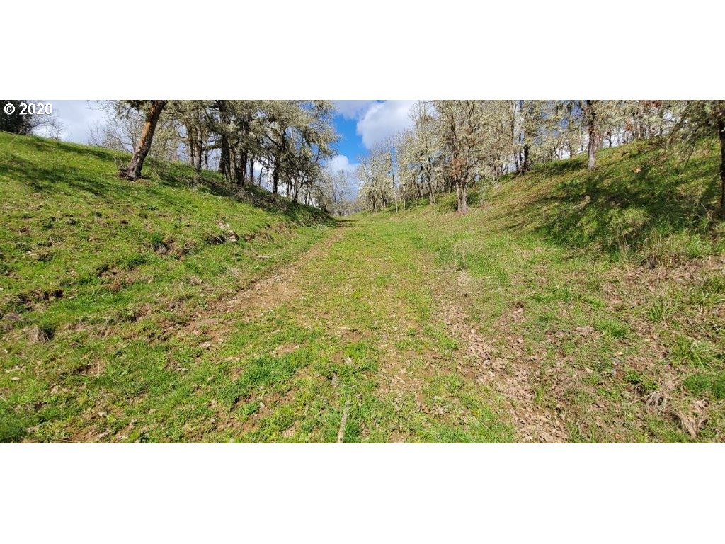 1632 Hogan Road Oakland, OR 97462 - Photo 13 of 14