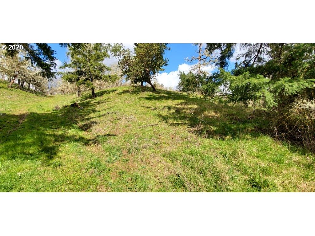 1632 Hogan Road Oakland, OR 97462 - Photo 14 of 14