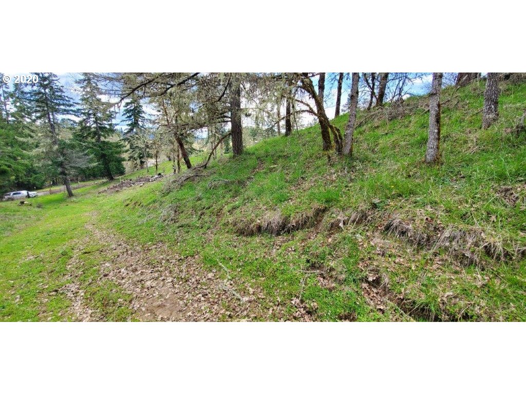 1632 Hogan Road Oakland, OR 97462 - Photo 3 of 14