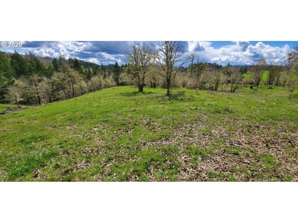 1632 Hogan Road Oakland, OR 97462 - Photo 4 of 14