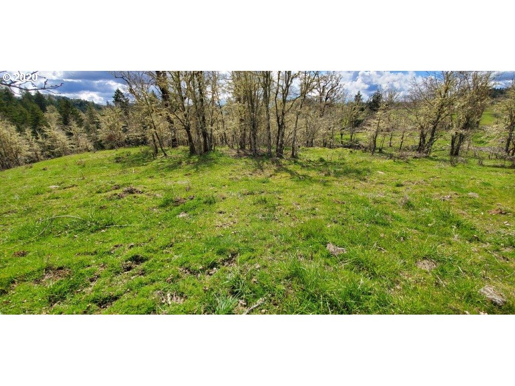 1632 Hogan Road Oakland, OR 97462 - Photo 5 of 14