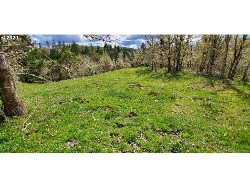 1632 Hogan Road Oakland, OR 97462 - Photo 6 of 14