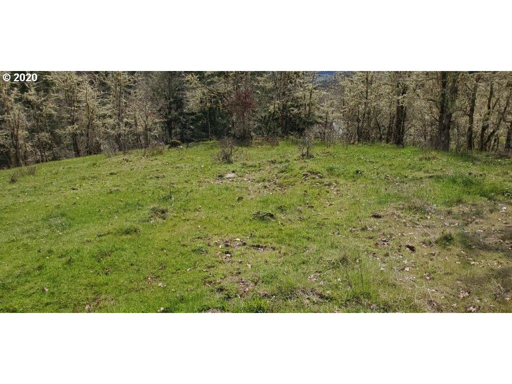 1632 Hogan Road Oakland, OR 97462 - Photo 7 of 14