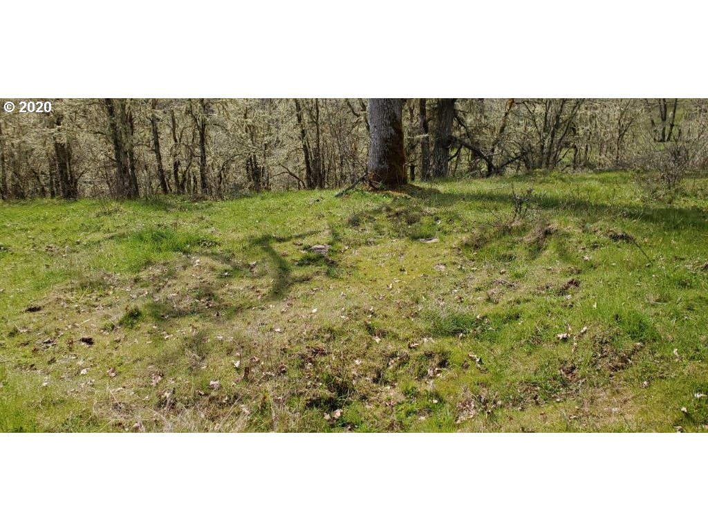 1632 Hogan Road Oakland, OR 97462 - Photo 8 of 14