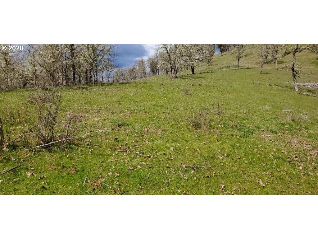 1632 Hogan Road Oakland, OR 97462 - Photo 9 of 14
