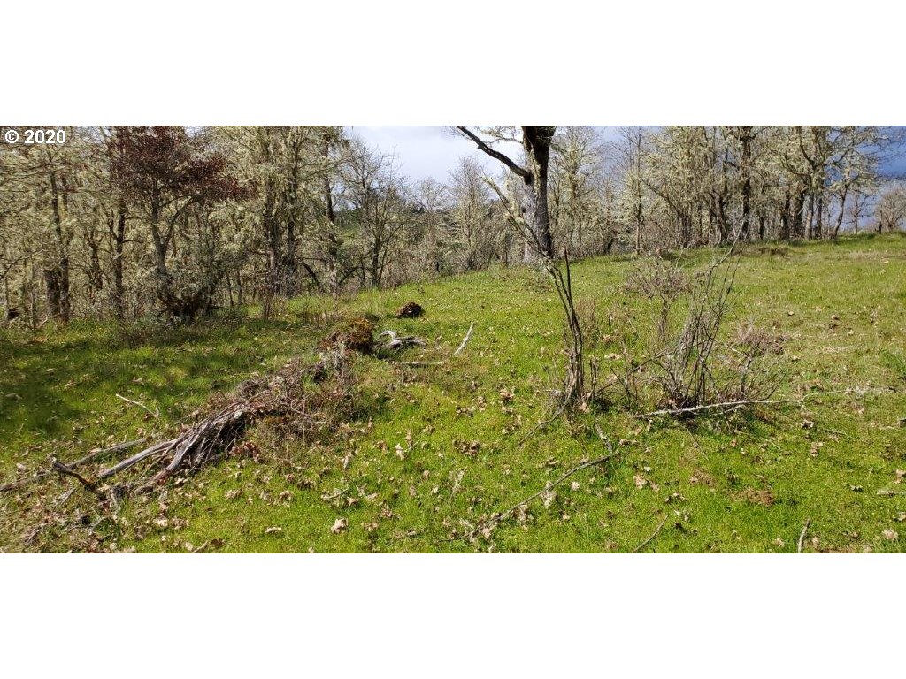 1632 Hogan Road Oakland, OR 97462 - Photo 10 of 14