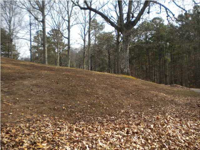 1762 Dry Valley Road Rossville, GA 30741 - Photo 14 of 19 Additional Photo