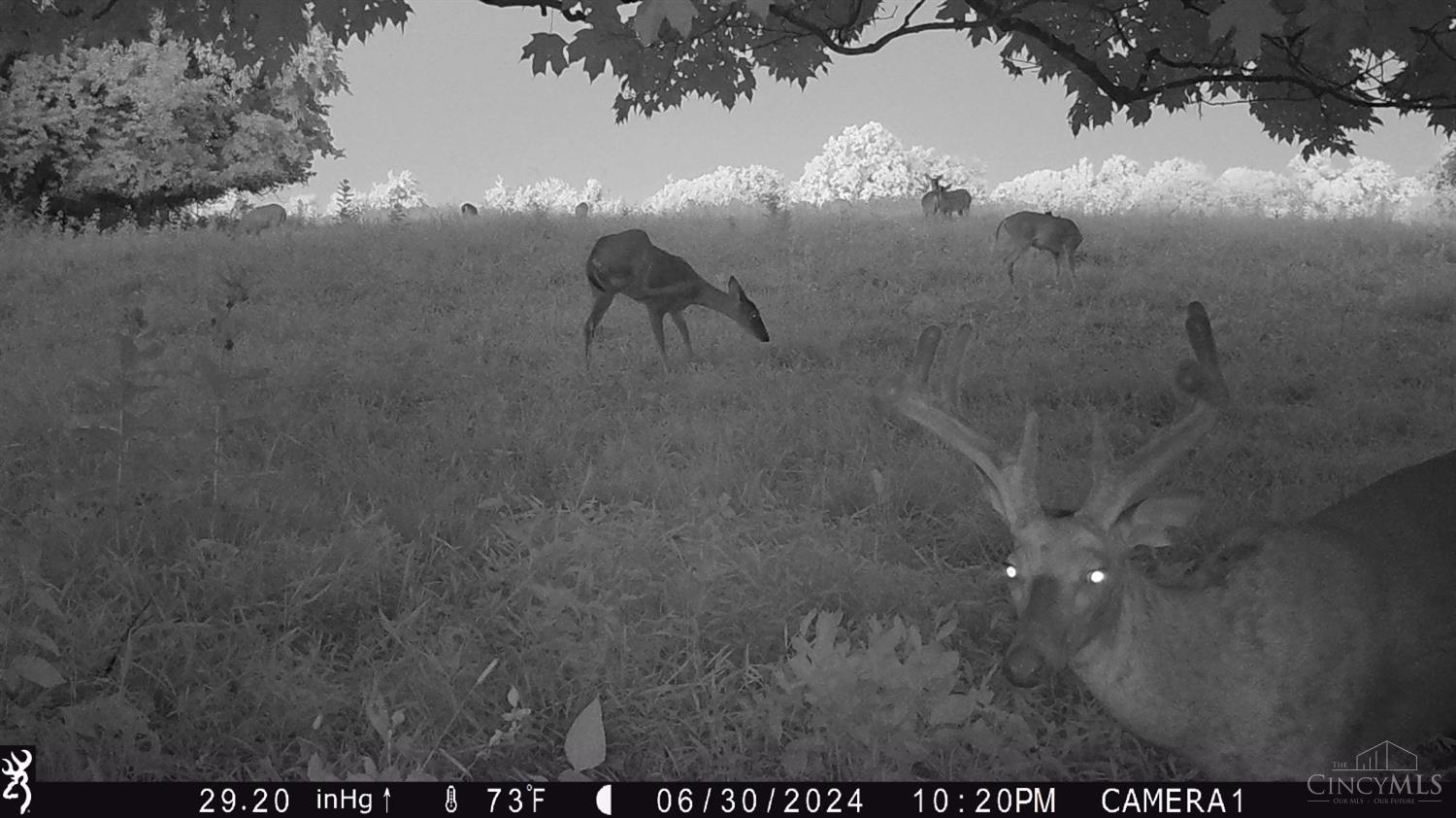 0 Devore Road Ripley, OH 45167 - Photo 38 of 63