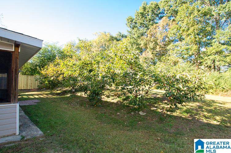 203 Ivy Brook Trail Pelham, AL 35124 - Photo 22 of 25