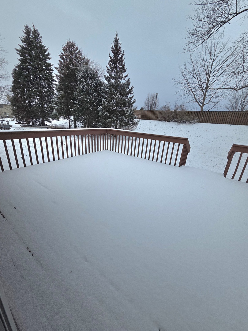 3027 Brossman Street Naperville, IL 60564 - Photo 30 of 36