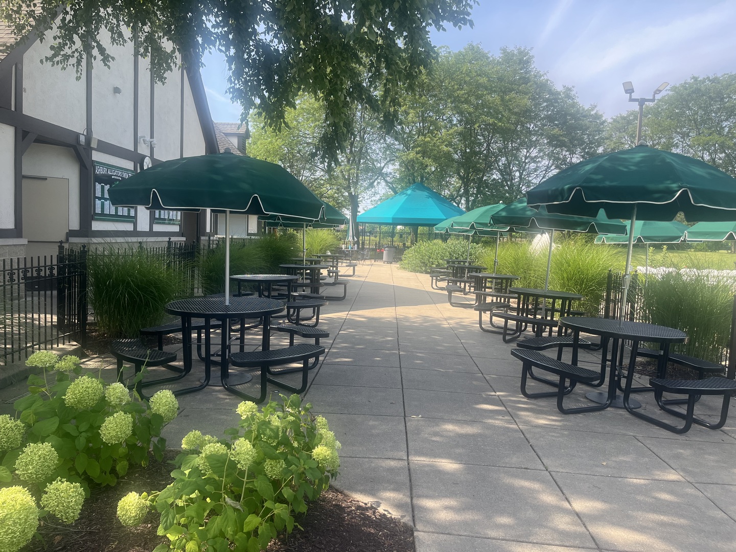 3027 Brossman Street Naperville, IL 60564 - Photo 42 of 42 a view of a chairs and table in the patio with a garden