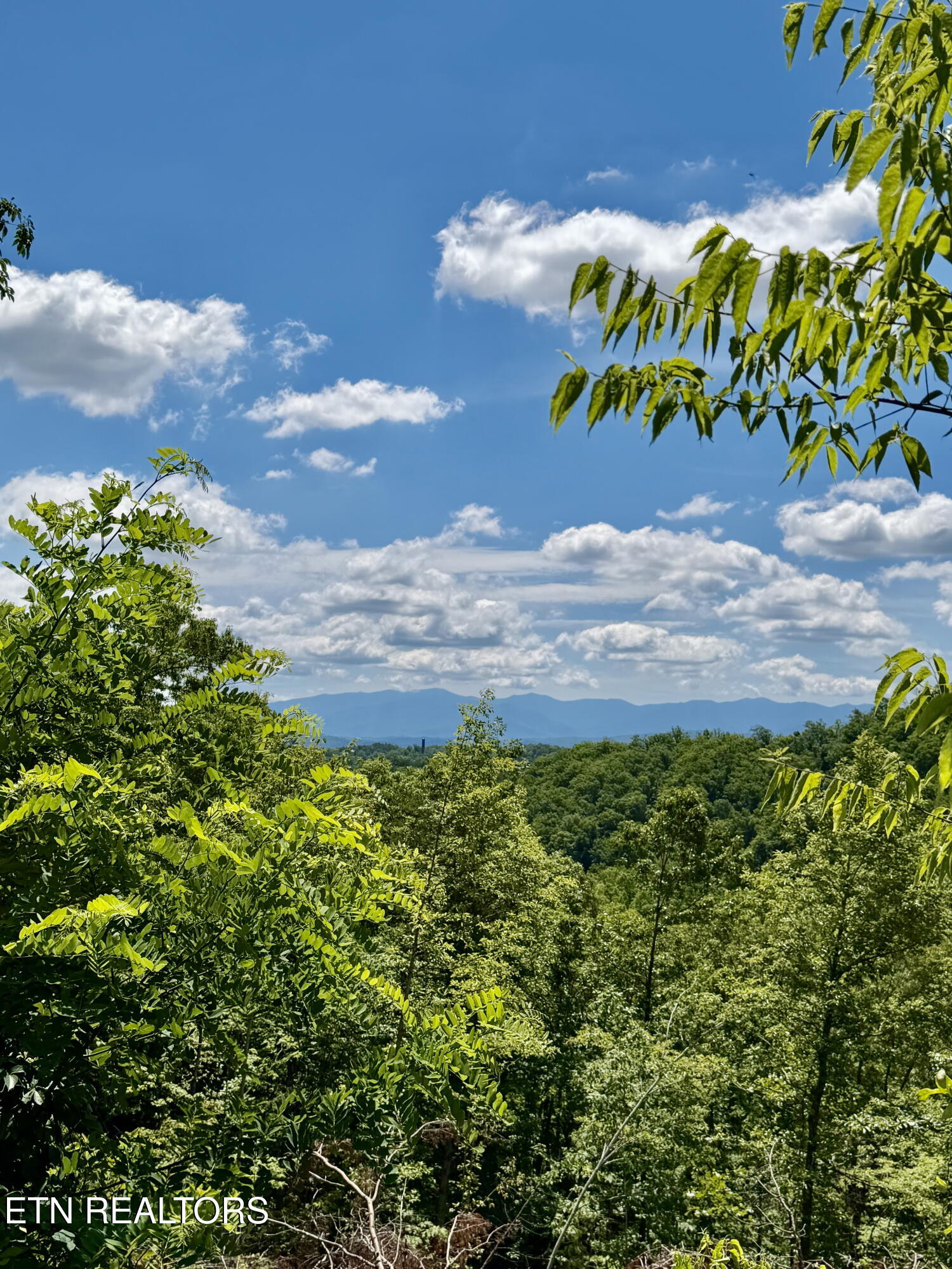 1798 Seagle Hollow Road Sevierville, TN 37876 - Photo 14 of 25 1-14