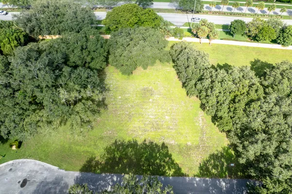 a view of a garden
