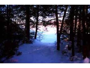 306 Bowles Road Newbury, NH 03255 - Photo 3 of 3 Gallery Image 3