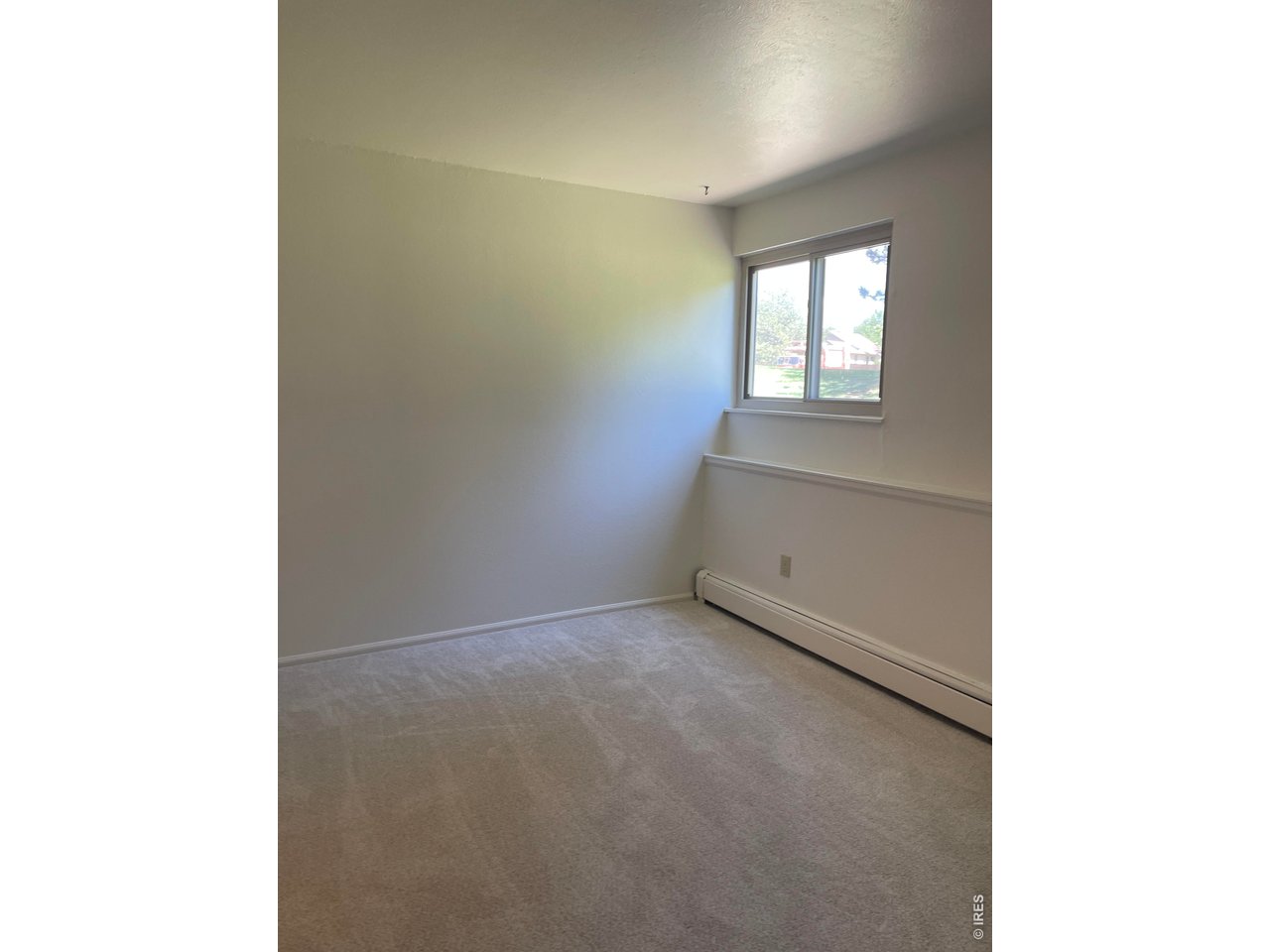 8060 Niwot Road, Unit 7E Niwot, CO 80503 - Photo 12 of 22 New carpeting and paint