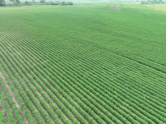 $1 | 0 45th Street Northeast, Benson, MN 56215