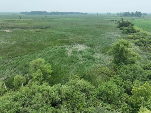 $1 | 0 45th Street Northeast, Benson, MN 56215