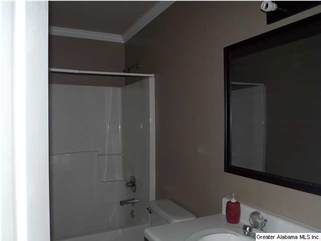 102 Drexel Drive Oneonta, AL 35121 - Photo 21 of 30