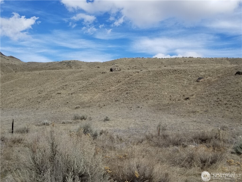 0 Nicholson Road Tonasket, WA 98855 - Photo 4 of 4 a view of beach and city