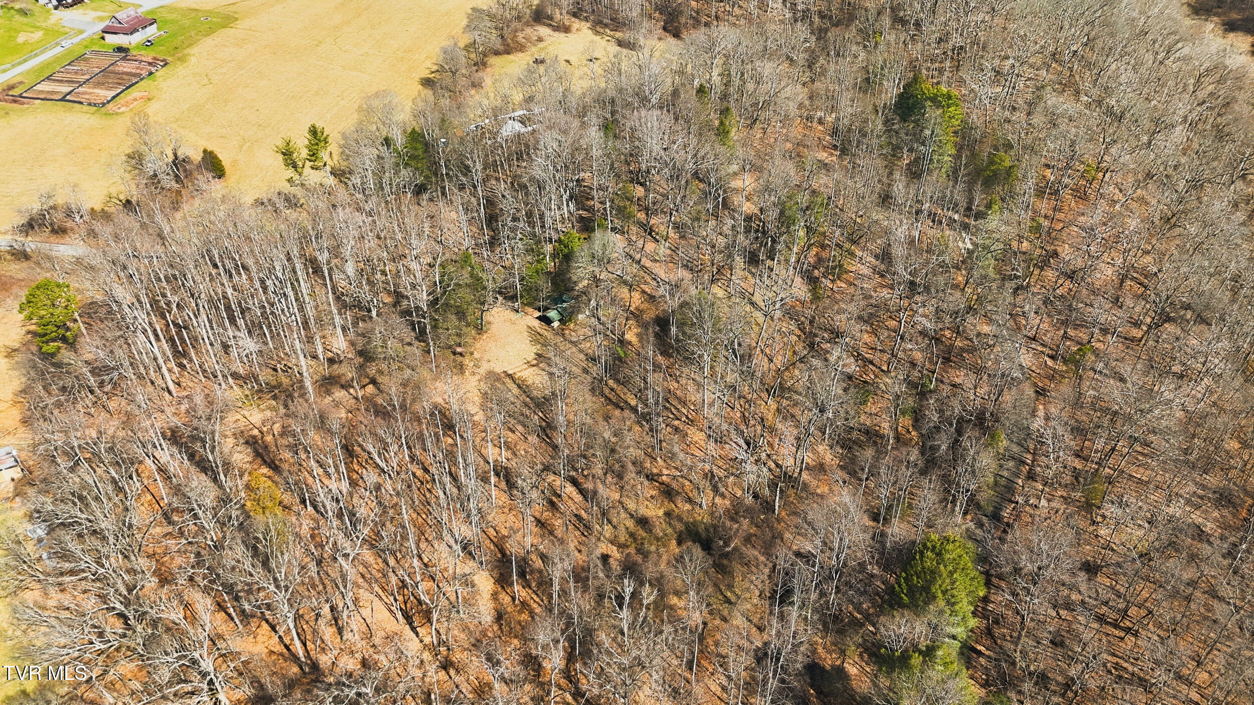597 Cavern Road Bristol, TN 37620 - Photo 17 of 23 5_597 cavern rd-05
