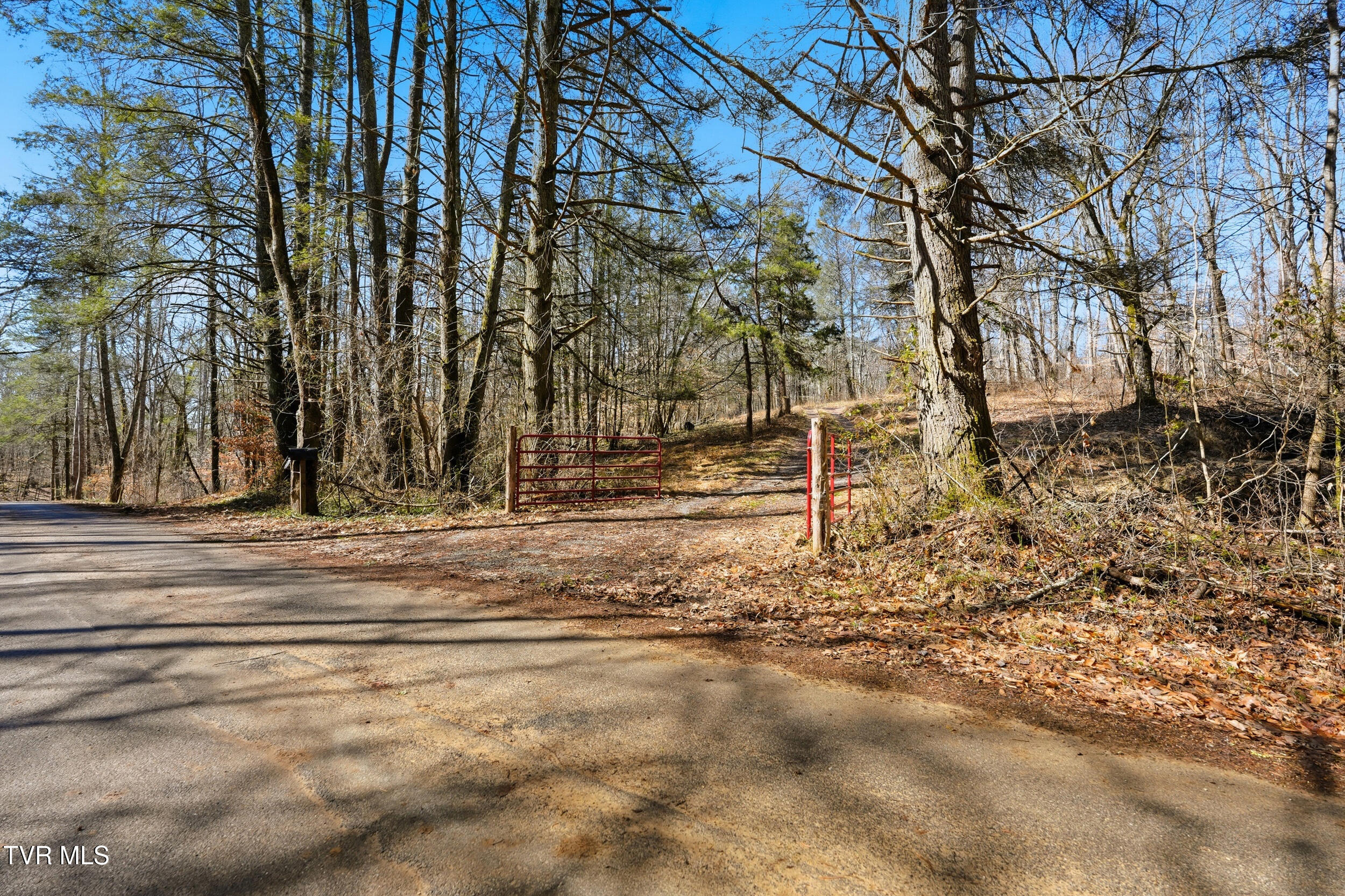 597 Cavern Road Bristol, TN 37620 - Photo 6 of 23 13_597 cavern rd-23