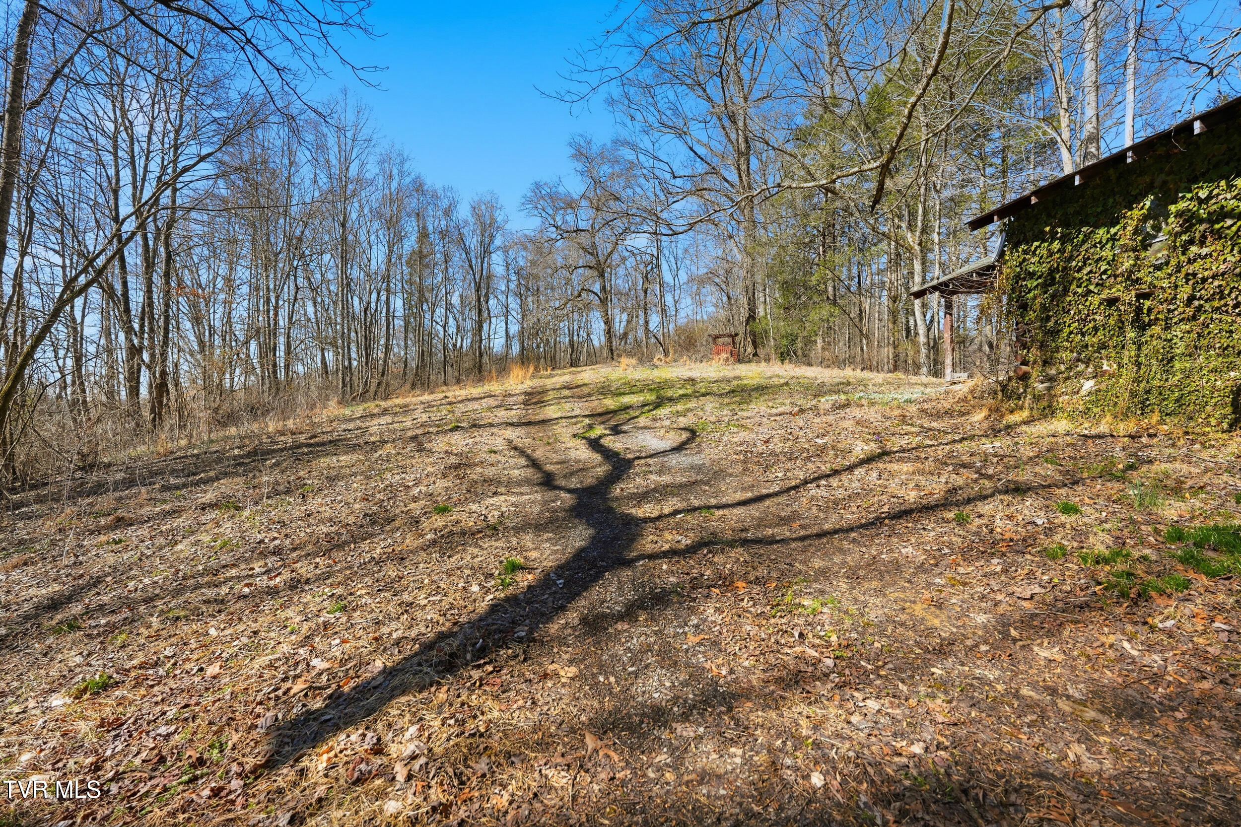 597 Cavern Road Bristol, TN 37620 - Photo 7 of 23 14_597 cavern rd-20