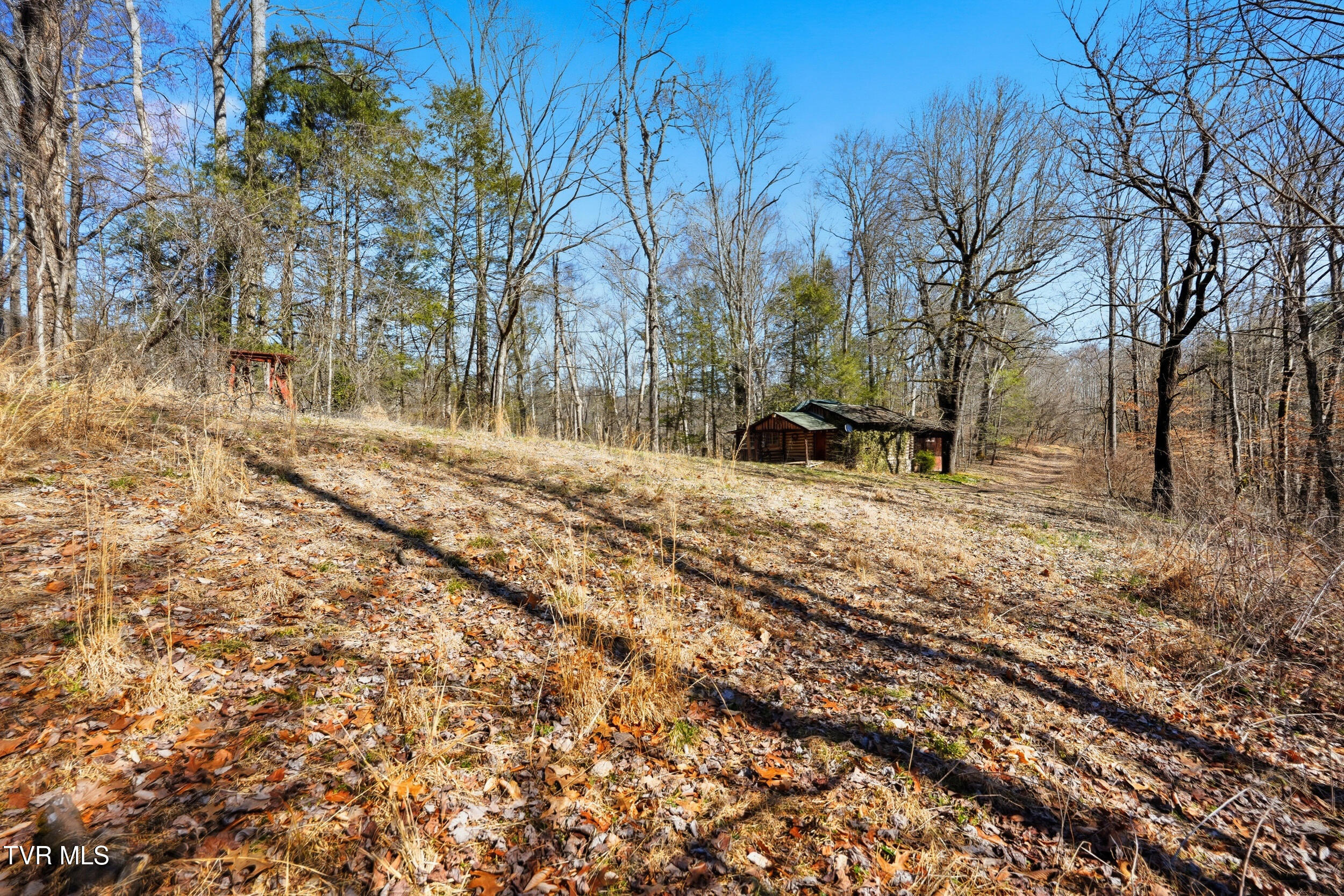 597 Cavern Road Bristol, TN 37620 - Photo 8 of 23 15_597 cavern rd-13