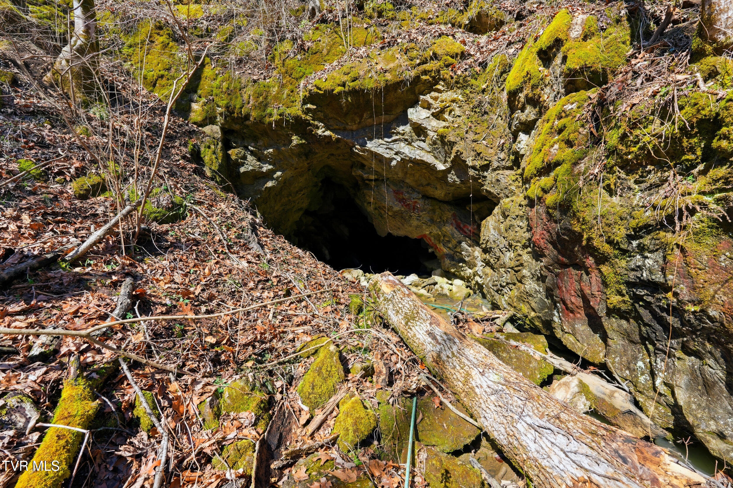 597 Cavern Road Bristol, TN 37620 - Photo 9 of 23 21_597 cavern rd-16