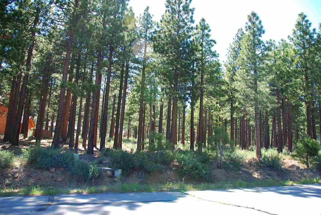 500 Yellow Pine Road, Unit 14 Reno, NV 89511 - Photo 1 of 1 Photo 1