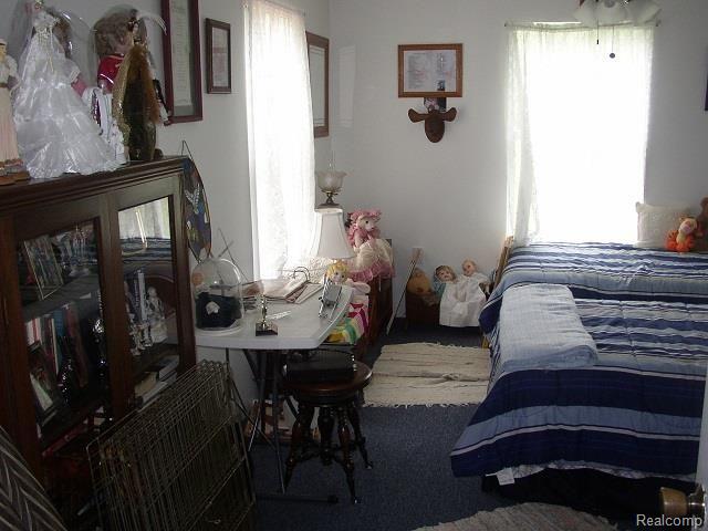 2726 Flint River Road Lapeer, MI 48446 - Photo 23 of 52 P1010209.jpg