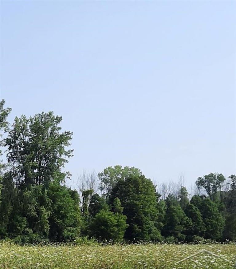 5120 5 Mile Road Hope, MI 48628 - Photo 14 of 17