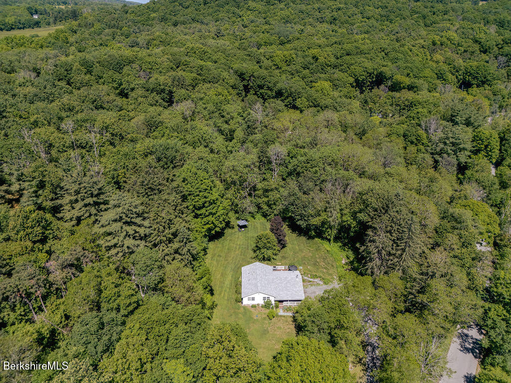 145 Snyder Pond Road Copake, NY 12516 - Photo 36 of 36 Aerial