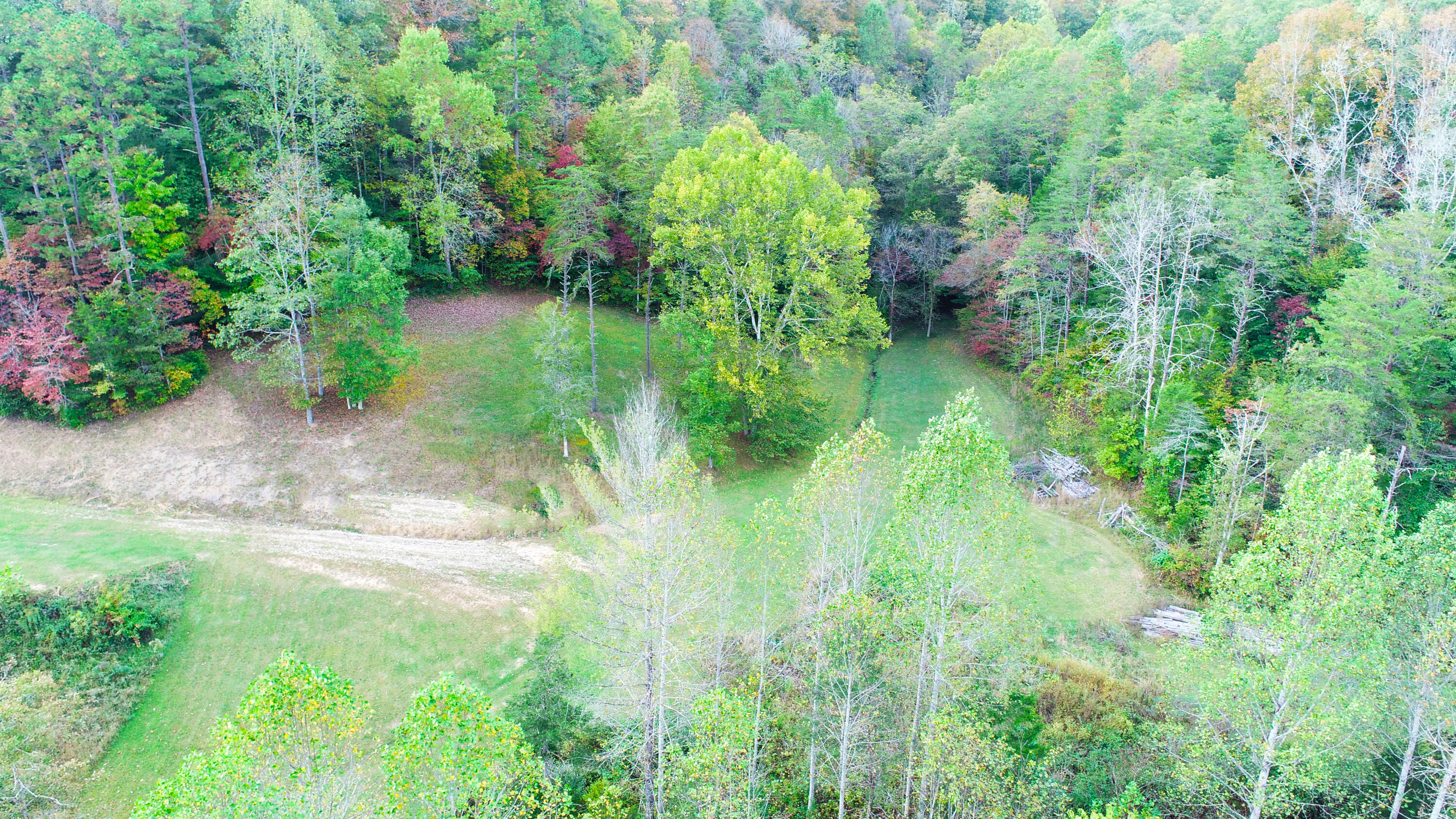 346 Goose Creek Road Jackson, KY 41339 - Photo 8 of 40 Hunting spot!