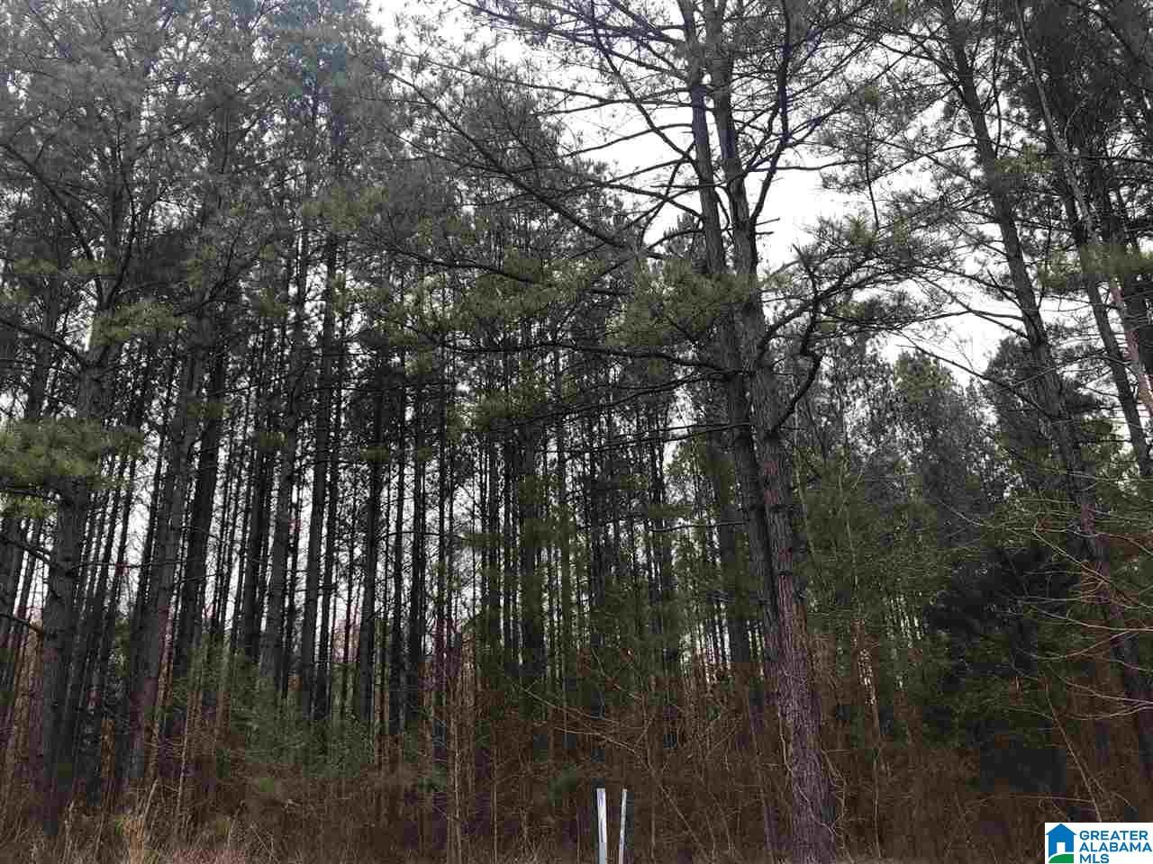 4040 Sportsman Lake Road, Unit 1 Odenville, AL 35120 - Photo 10 of 11