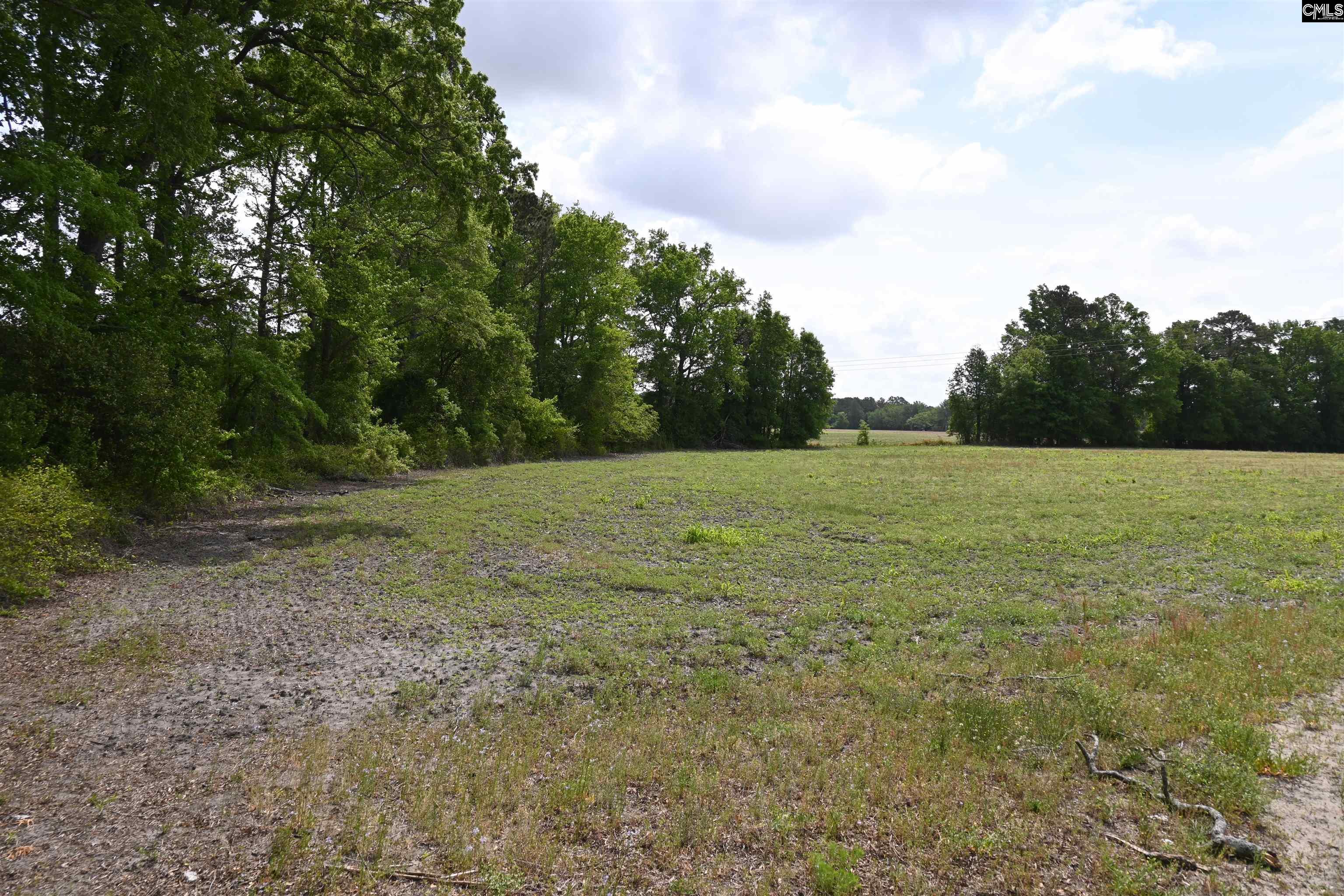 Tbd Gallowaytown Road Hartsville, SC 29550 - Photo 25 of 34
