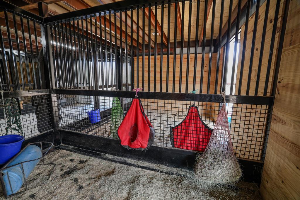 11007 Fm 2450 Sanger, TX 76266 - Photo 9 of 21