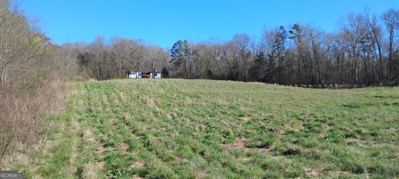 2331 Kesler Road Carnesville, GA 30521 - Photo 10 of 50 a view of a yard with a tree