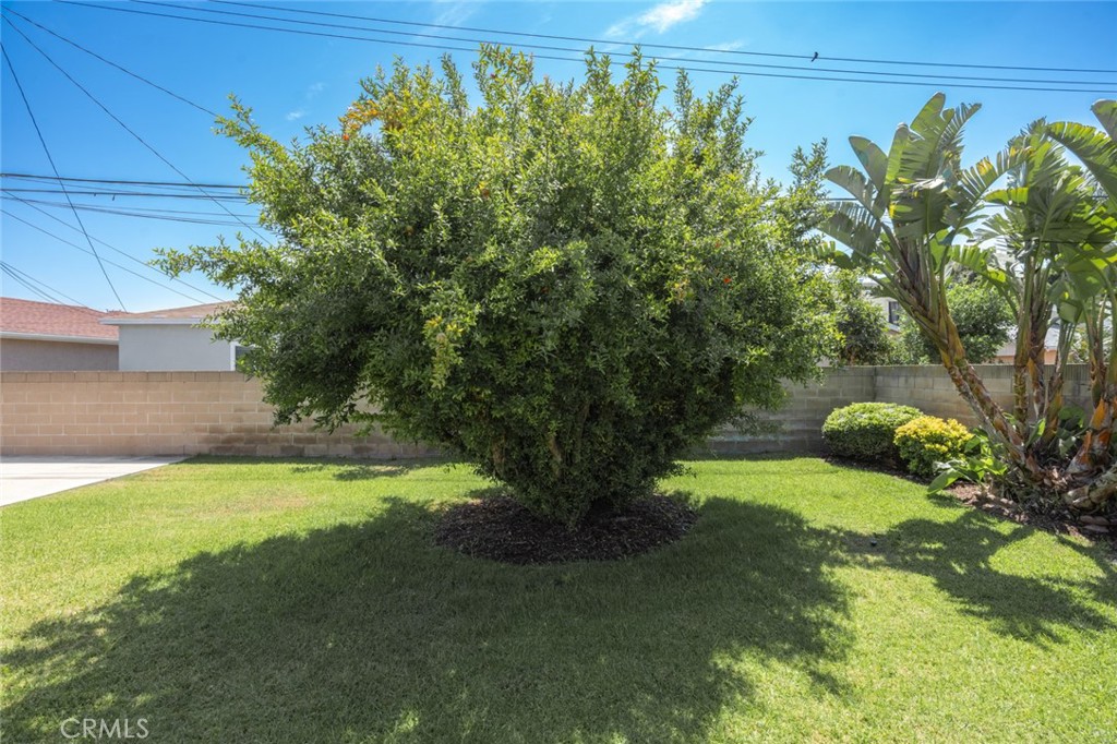 13792 Figueroa Street Garden Grove, CA 92843 - Photo 31 of 38 a view of a yard in a house